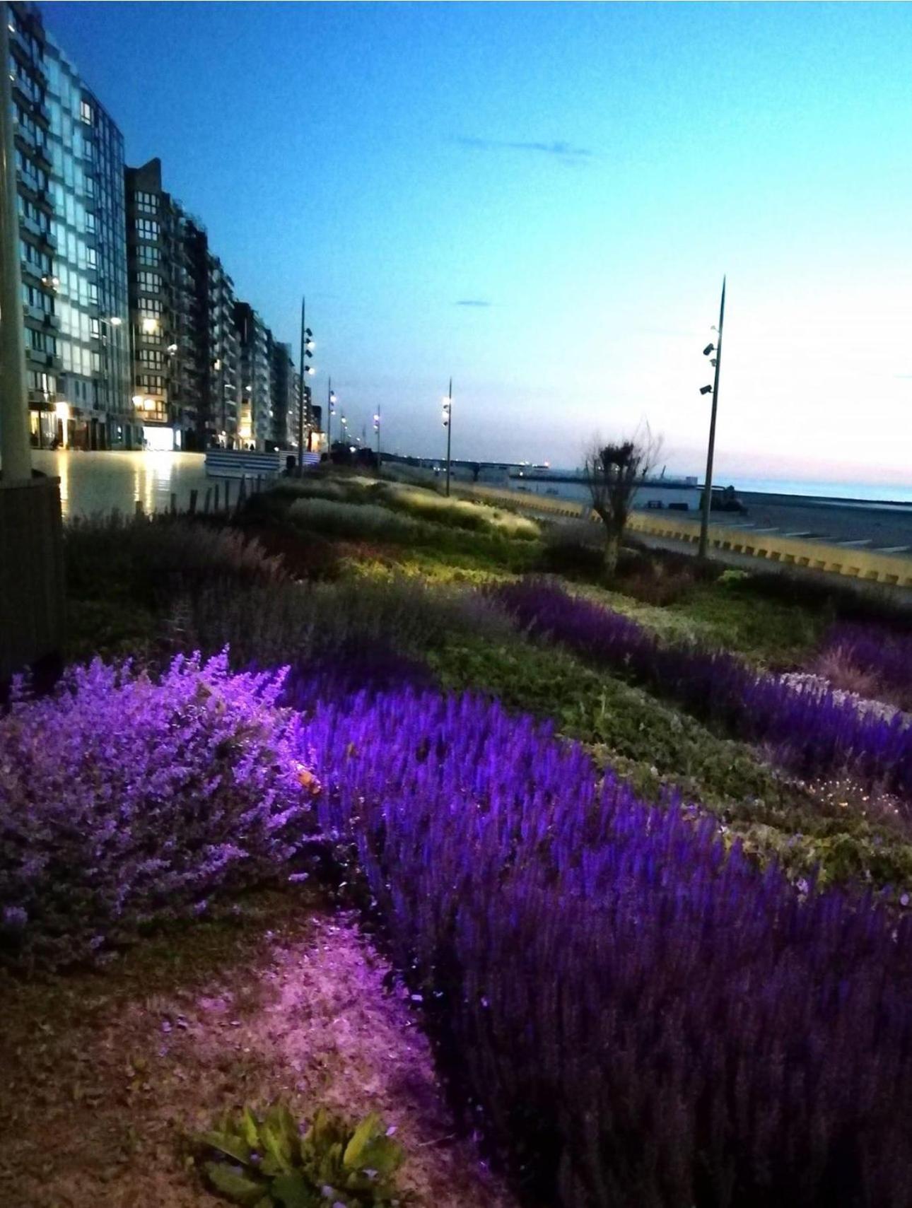West-End Beach มิดเดิลแกร์เกอ ภายนอก รูปภาพ